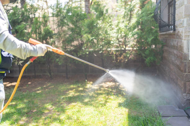 Best Pest Exclusion Services  in Belpre, OH